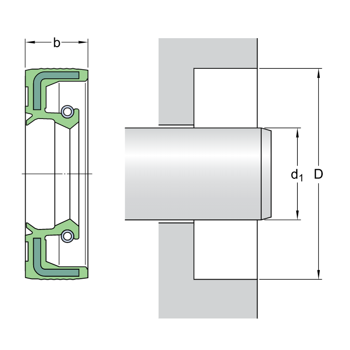 Phớt SKF 100X125X12 HMSA10 V